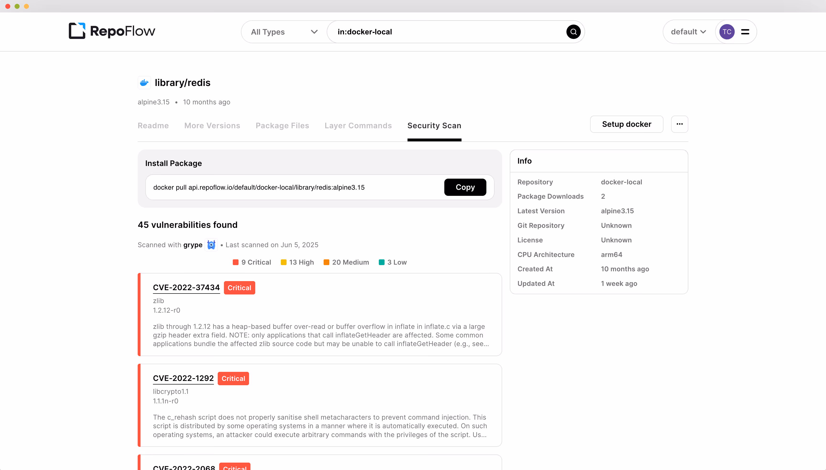 RepoFlow scan results using Grype